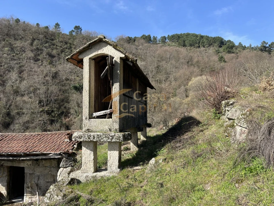 Quinta T0 para Venda em Pena, Quintã e Vila Cova Foto 4