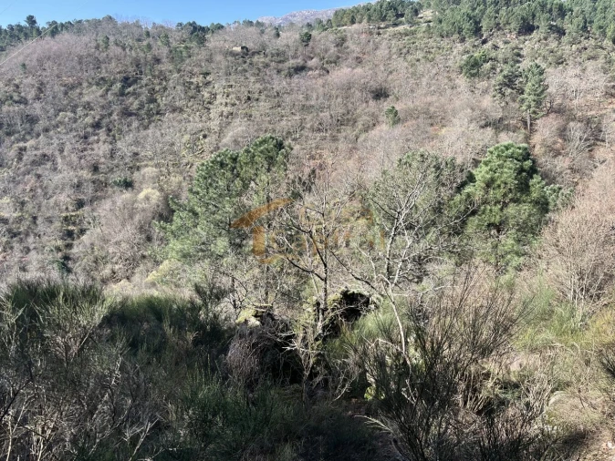 Quinta T0 para Venda em Pena, Quintã e Vila Cova Foto 19