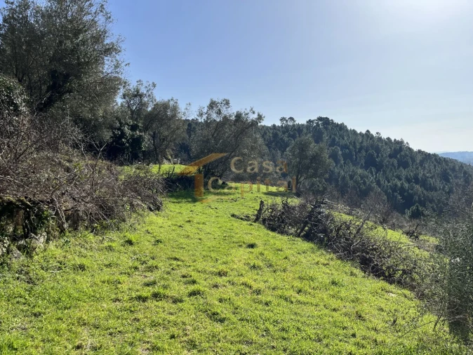 Quinta T0 para Venda em Pena, Quintã e Vila Cova Foto 15