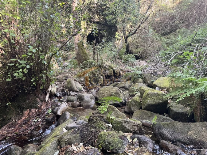Quinta T0 para Venda em Pena, Quintã e Vila Cova Foto 22