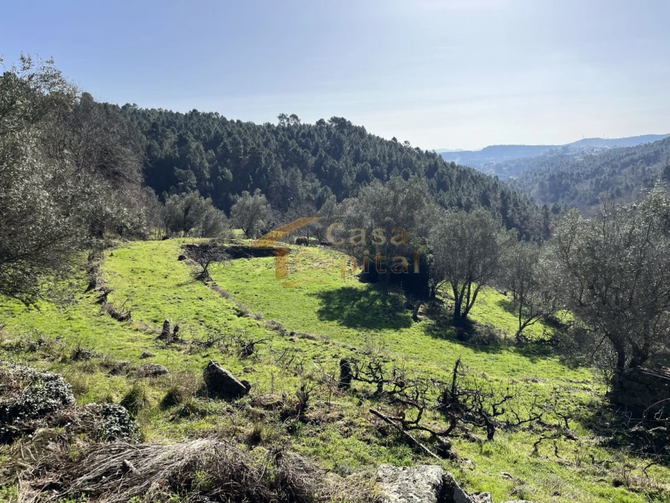 Quinta T0 para Venda em Pena, Quintã e Vila Cova Foto 18