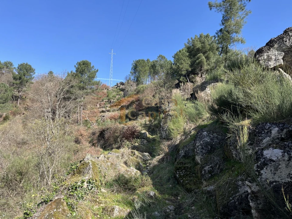 Quinta T0 para Venda em Pena, Quintã e Vila Cova Foto 22