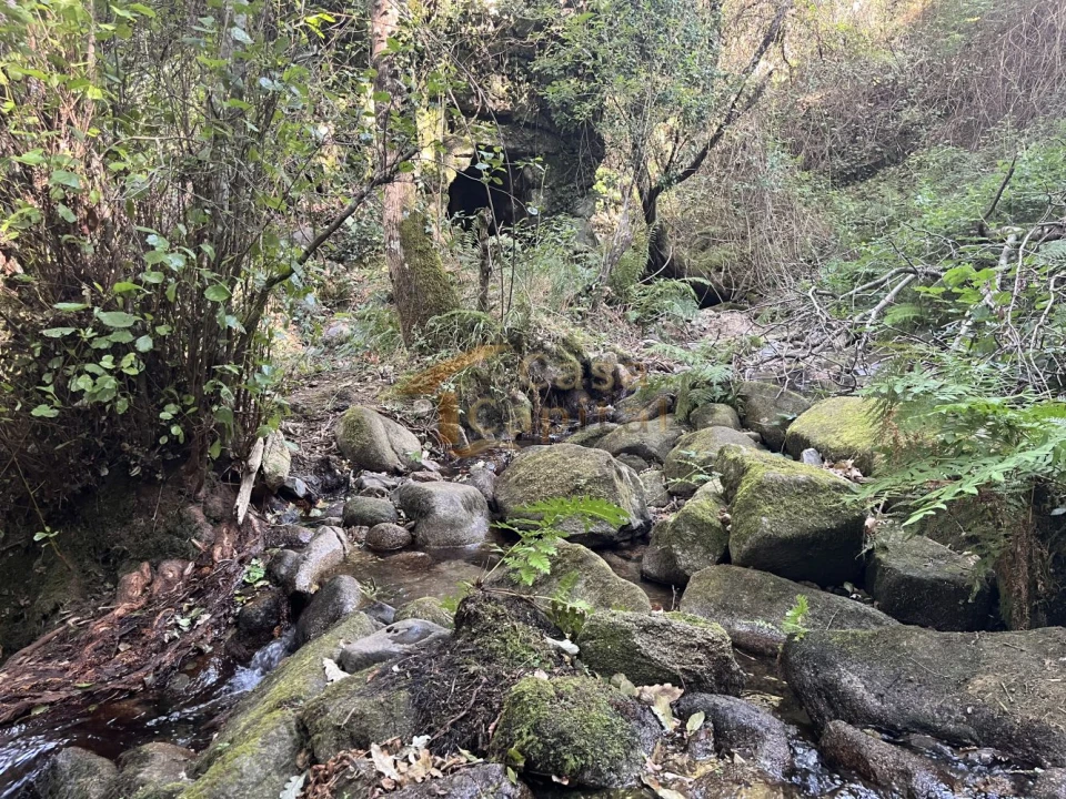 Quinta T0 para Venda em Pena, Quintã e Vila Cova Foto 22