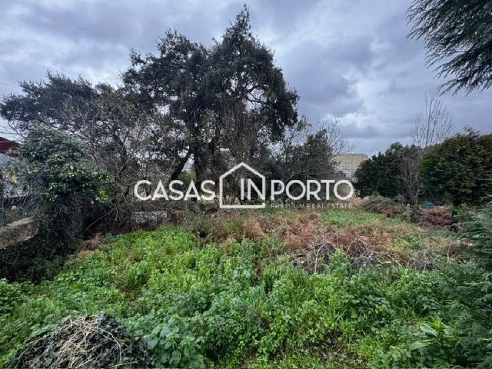 Terreno para Venda em Paranhos Foto 9