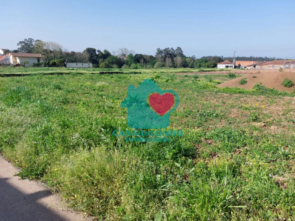 Terreno para Venda em Ovar, São João, Arada e São Vicente de Pereira Jusã Foto 3