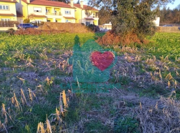Terreno para Venda em Albergaria-A-Velha e Valmaior