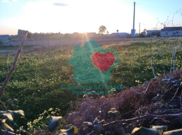 Terreno para Venda em Albergaria-A-Velha e Valmaior