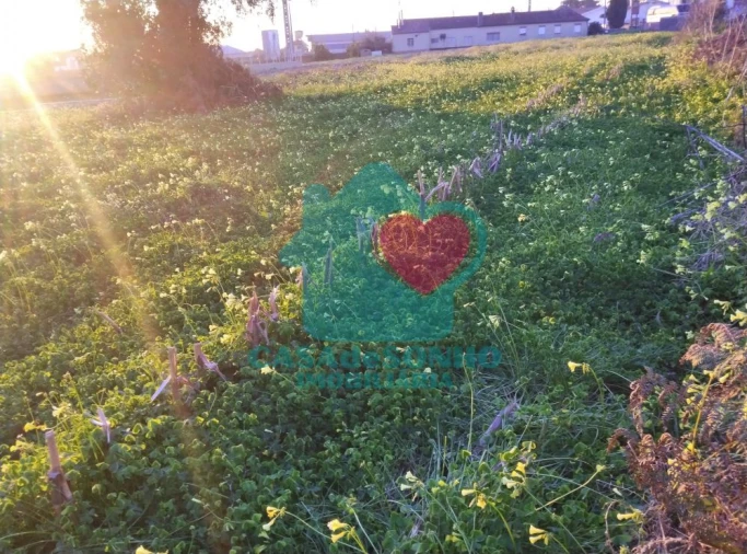 Terreno para Venda em Albergaria-A-Velha e Valmaior Foto 4