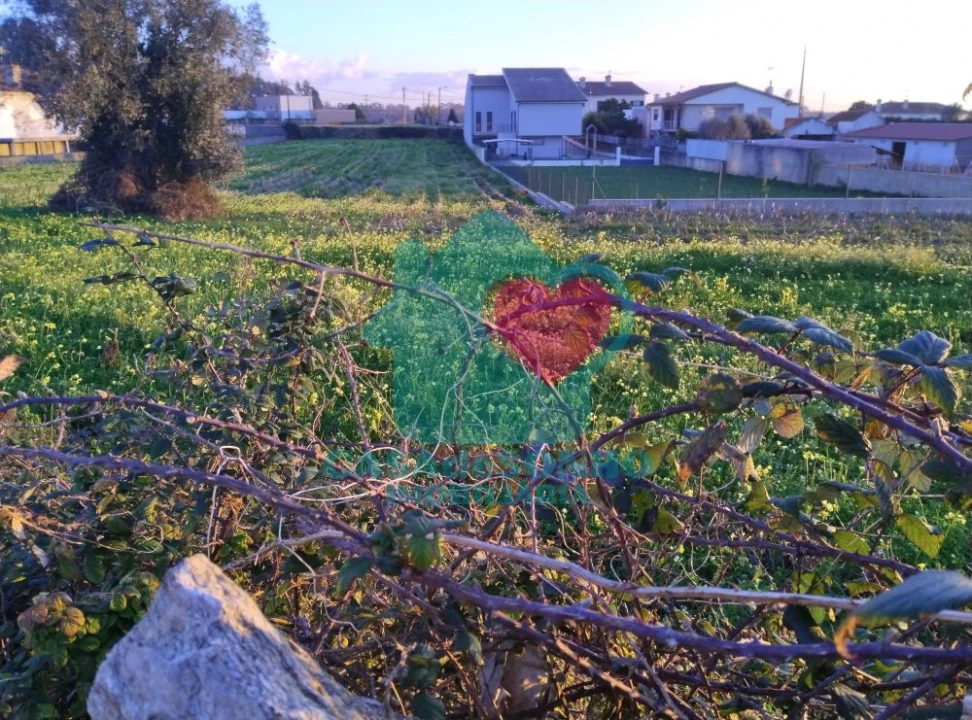 Terreno para Venda em Albergaria-A-Velha e Valmaior Foto 3