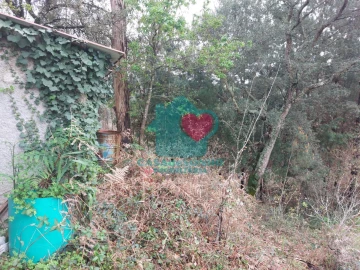 Terreno para Venda em Albergaria-A-Velha e Valmaior