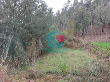 Terreno para Venda em Albergaria-A-Velha e Valmaior