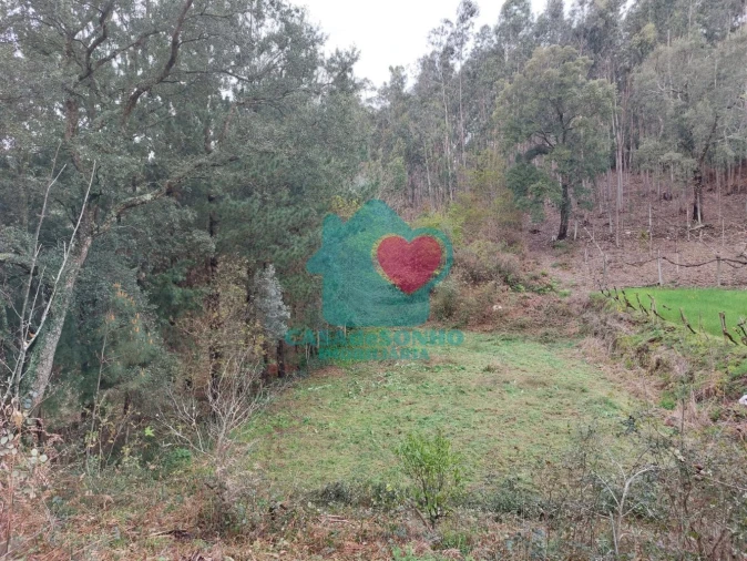 Terreno para Venda em Albergaria-A-Velha e Valmaior Foto 2