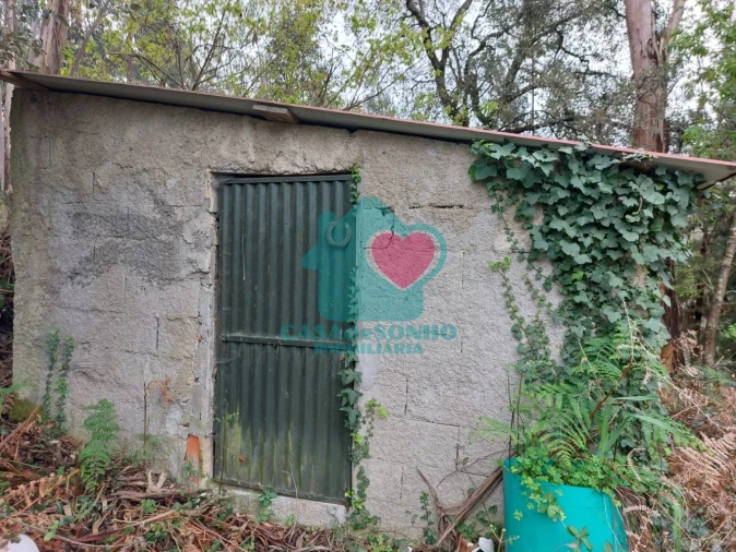 Terreno para Venda em Albergaria-A-Velha e Valmaior Foto 4