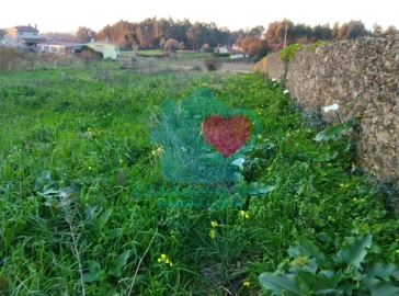 Terreno para Venda em Albergaria-A-Velha e Valmaior