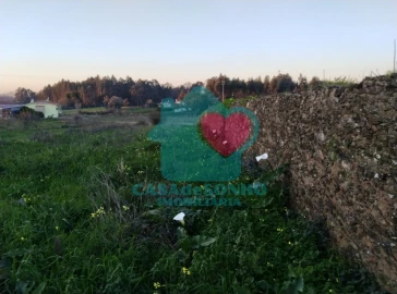 Terreno para Venda em Albergaria-A-Velha e Valmaior