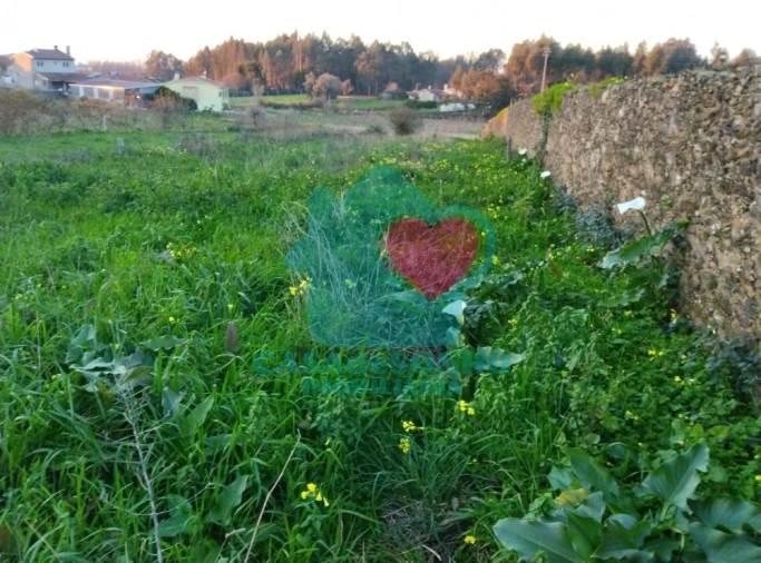 Terreno para Venda em Albergaria-A-Velha e Valmaior Foto 4