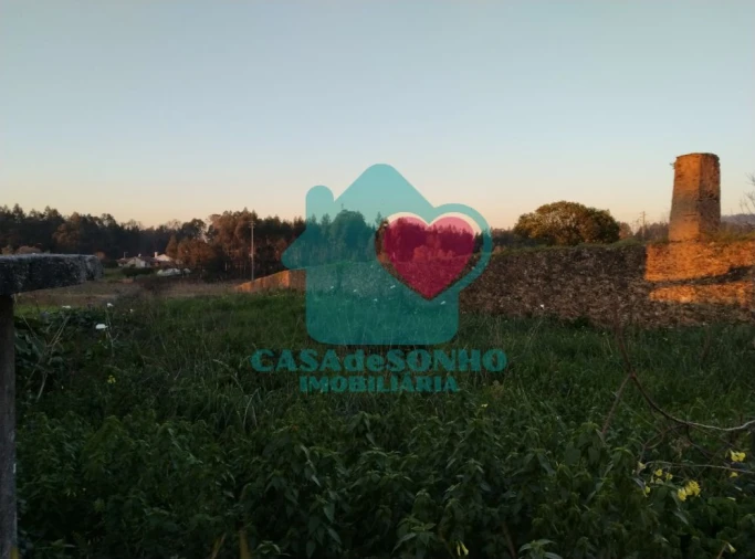 Terreno para Venda em Albergaria-A-Velha e Valmaior Foto 3