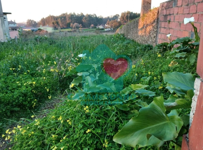 Terreno para Venda em Albergaria-A-Velha e Valmaior Foto 2