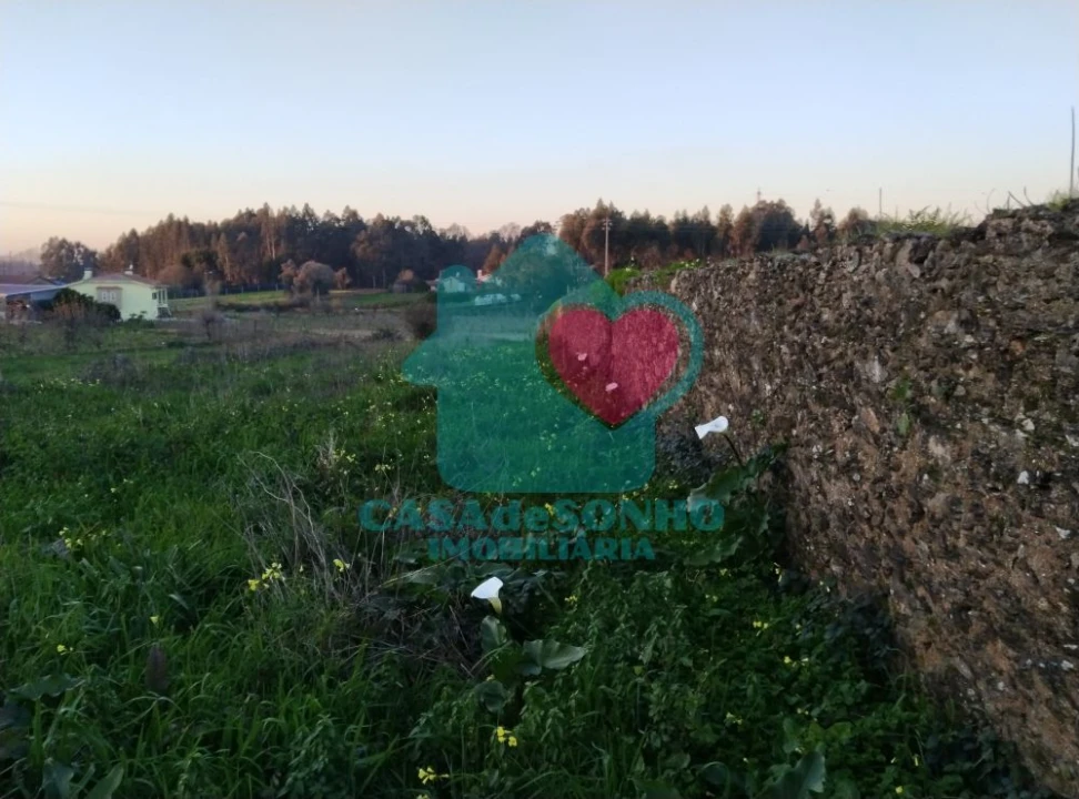 Terreno para Venda em Albergaria-A-Velha e Valmaior Foto 5