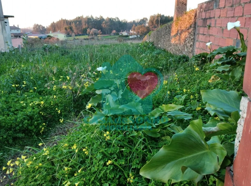Terreno para Venda em Albergaria-A-Velha e Valmaior Foto 2