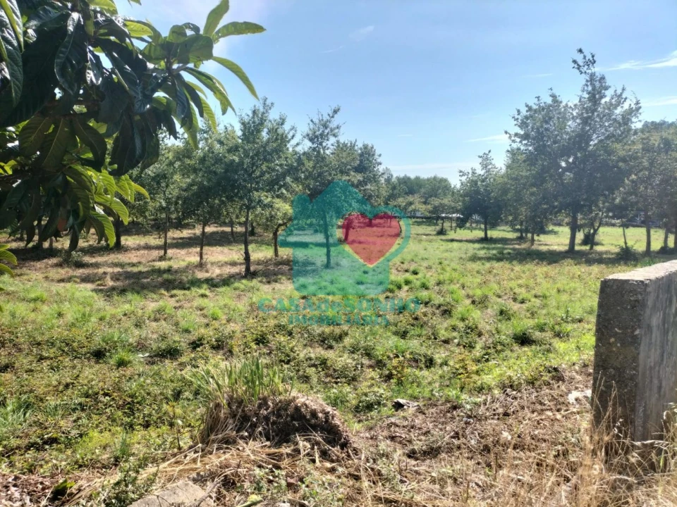 Quinta T6 para Venda em Branca Foto 10