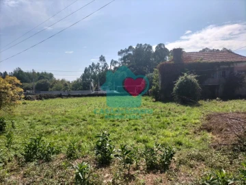 Quinta T6 para Venda em Branca