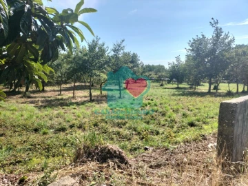 Quinta T6 para Venda em Branca