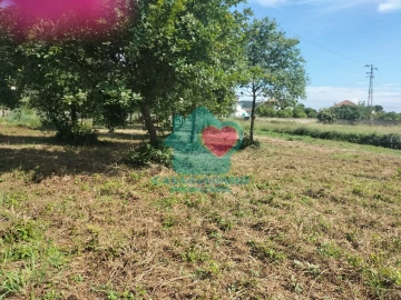 Quinta T6 para Venda em Branca