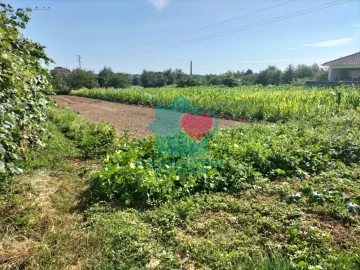 Quinta T6 para Venda em Branca