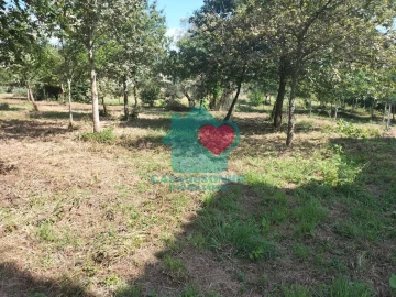 Quinta T6 para Venda em Branca