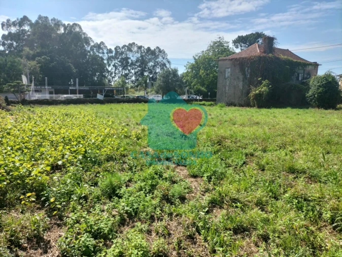 Quinta T6 para Venda em Branca Foto 12