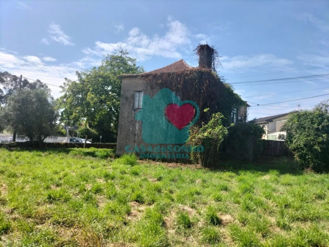 Quinta T6 para Venda em Branca Foto 4