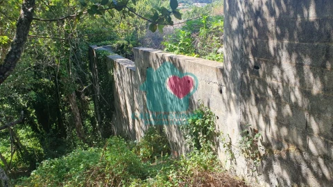 Terreno para Venda em Albergaria-A-Velha e Valmaior