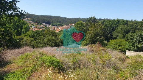 Terreno para Venda em Albergaria-A-Velha e Valmaior