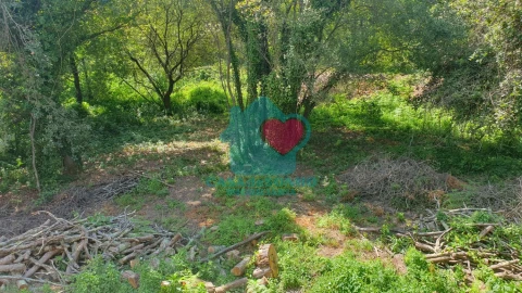 Terreno para Venda em Albergaria-A-Velha e Valmaior