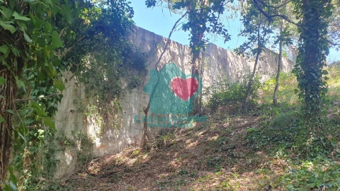 Terreno para Venda em Albergaria-A-Velha e Valmaior