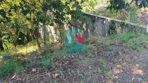 Terreno para Venda em Albergaria-A-Velha e Valmaior