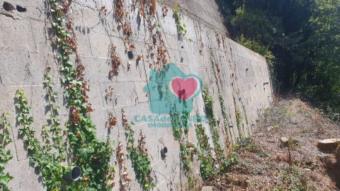 Terreno para Venda em Albergaria-A-Velha e Valmaior