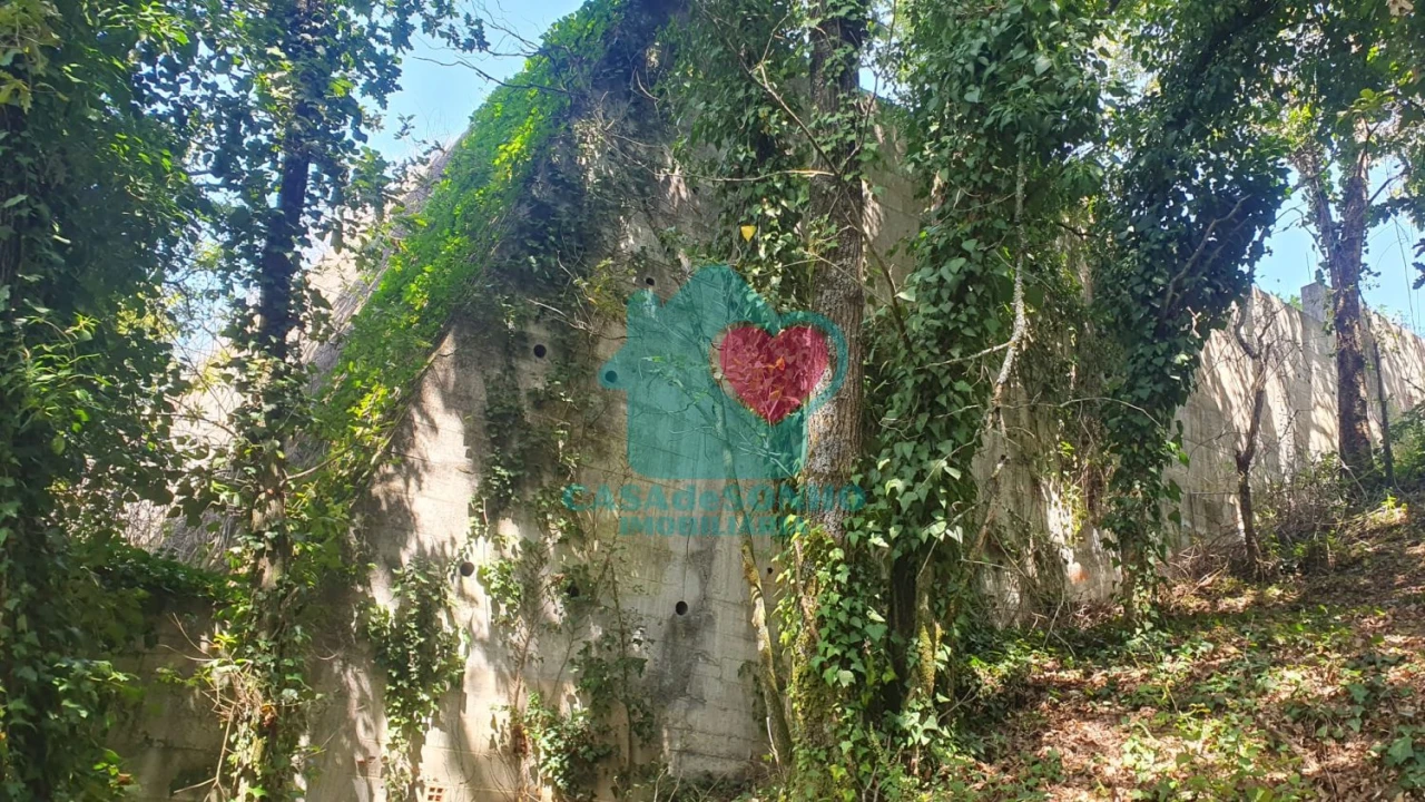 Terreno para Venda em Albergaria-A-Velha e Valmaior Foto 11