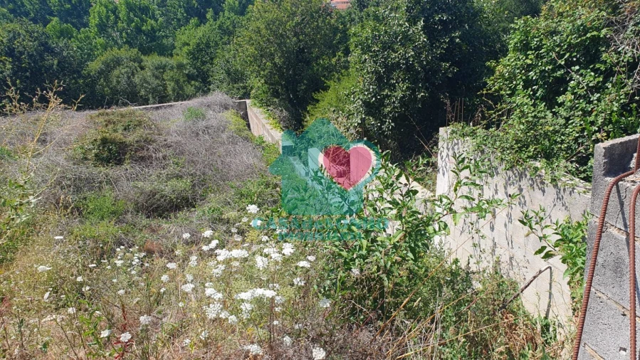 Terreno para Venda em Albergaria-A-Velha e Valmaior Foto 7