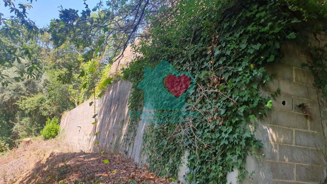 Terreno para Venda em Albergaria-A-Velha e Valmaior Foto 10