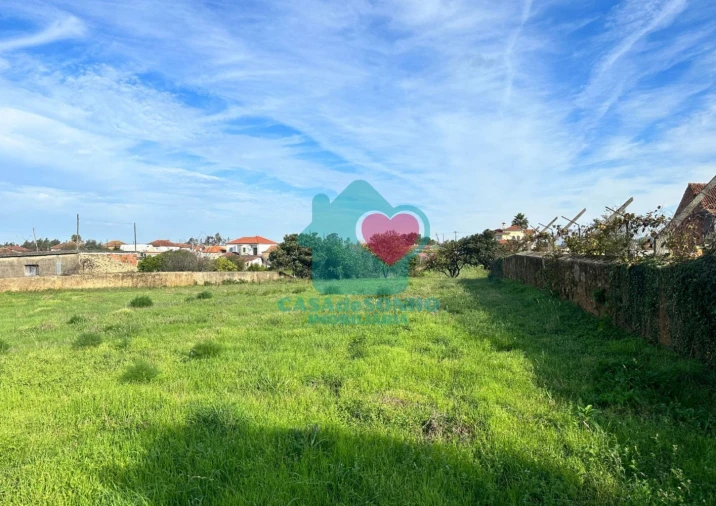 Terreno para Venda em Branca Foto 3