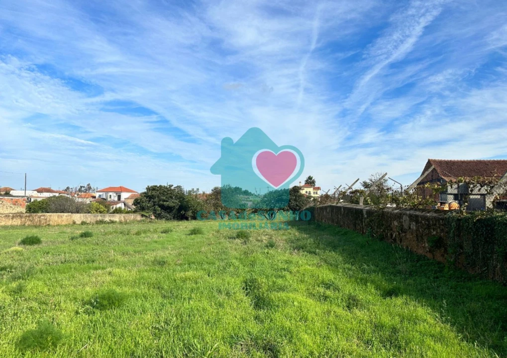 Terreno para Venda em Branca Foto 4