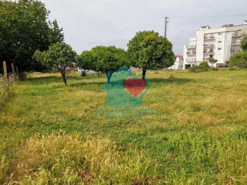 Terreno para Venda em Albergaria-A-Velha e Valmaior
