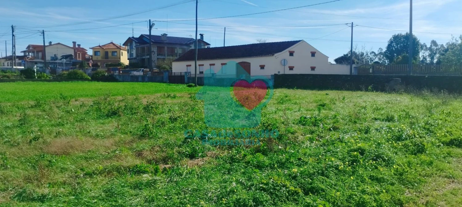 Terreno para Venda em Branca Foto 4