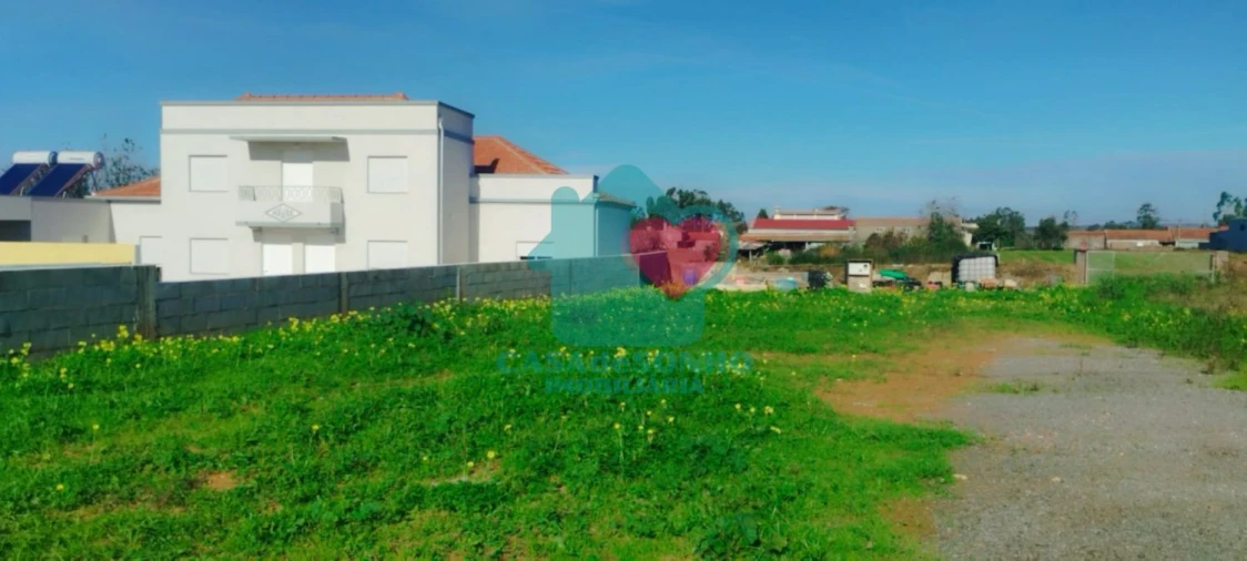 Terreno para Venda em Branca Foto 7