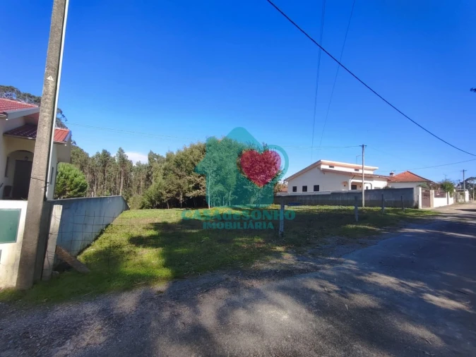Terreno para Venda em Pinheiro da Bemposta, Travanca e Palmaz Foto 2