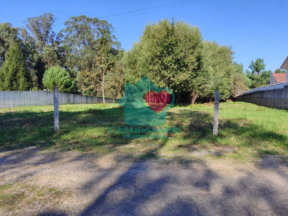 Terreno para Venda em Pinheiro da Bemposta, Travanca e Palmaz Foto 3