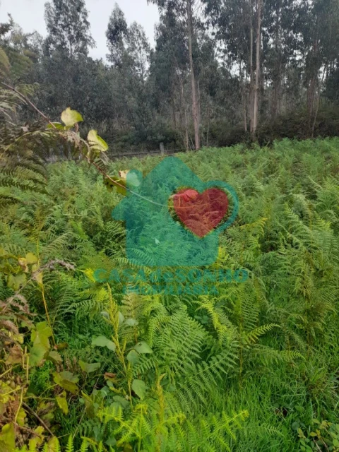 Terreno para Venda em Macinhata do Vouga