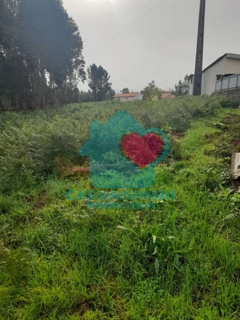 Terreno para Venda em Macinhata do Vouga